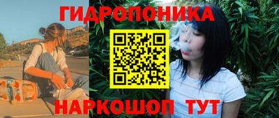 apvp Тверь