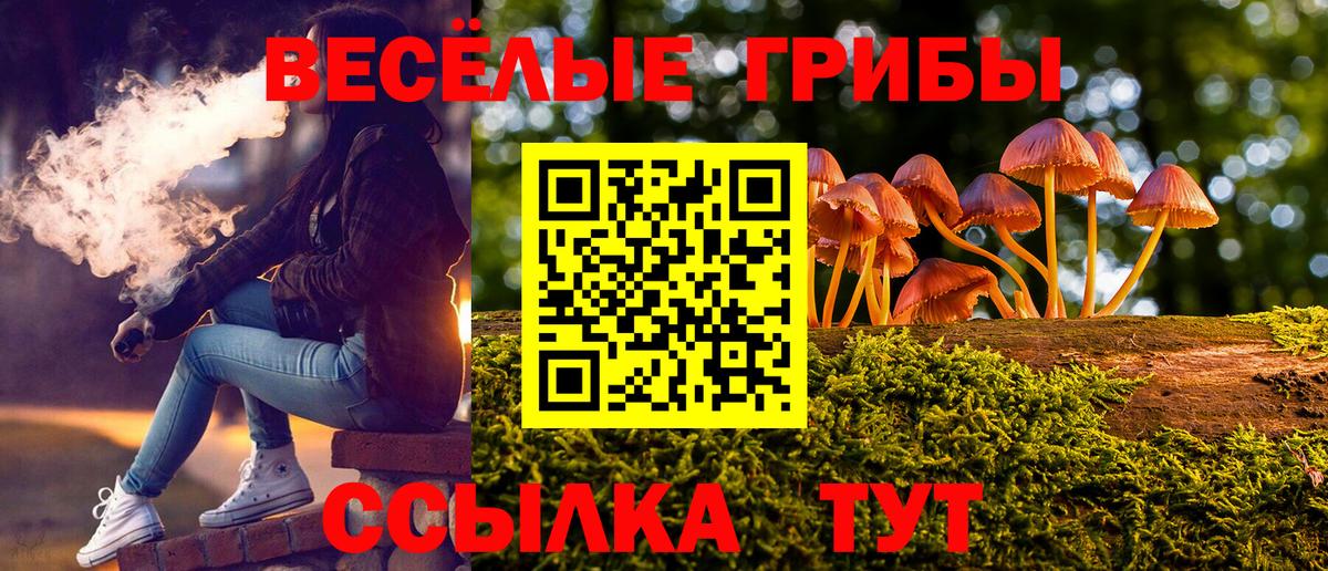 Малгобек  Псилоцибиновые грибы мухоморы  что такое наркотик  Вход с VPN 